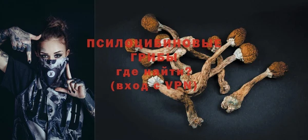 a pvp Абдулино