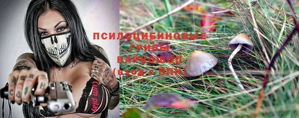 a pvp Абдулино